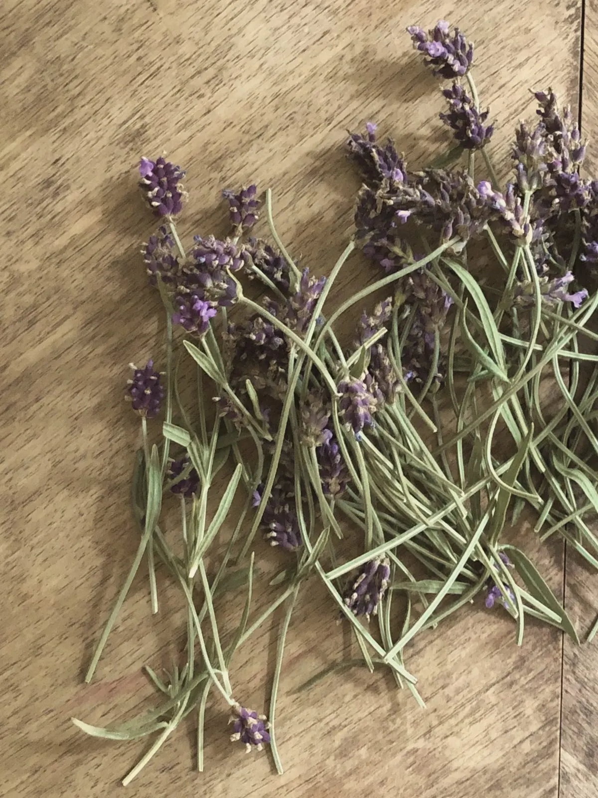 Freshly cut lavender on a wooden board